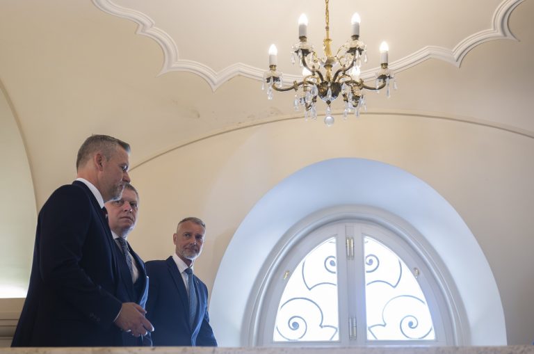 Fico Pellegrini Raši