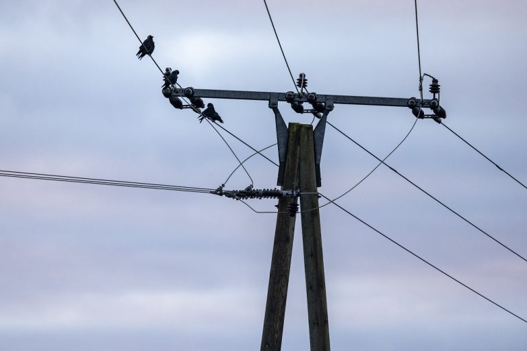 elektrina