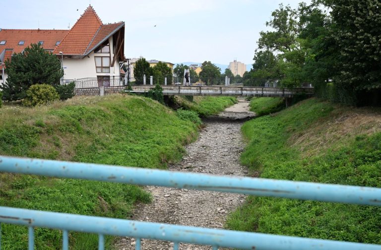 Bodva