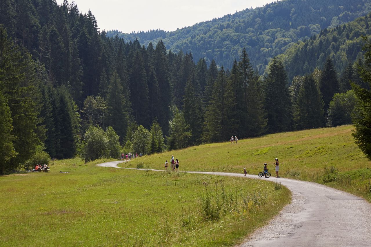 Čutková dolina
