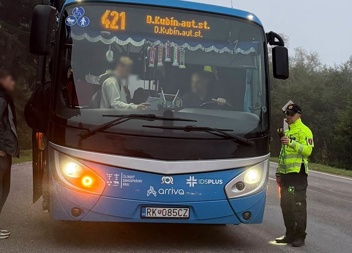 Policajná kontrola