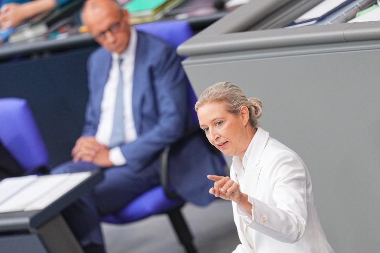 Merz Weidelová