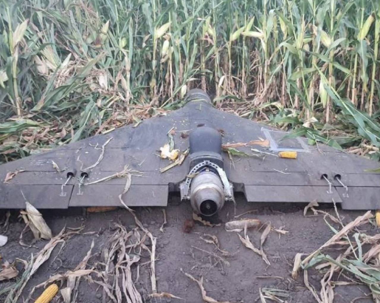 dron
