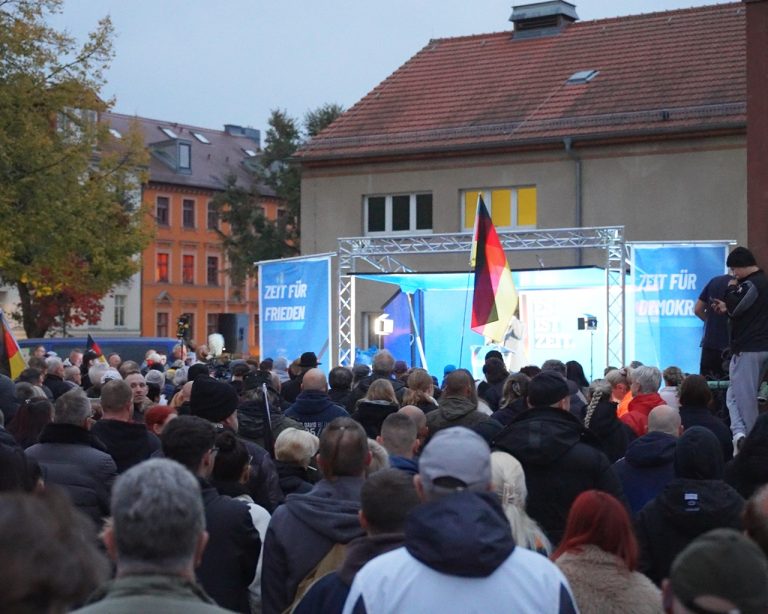 AfD zhromaždenie