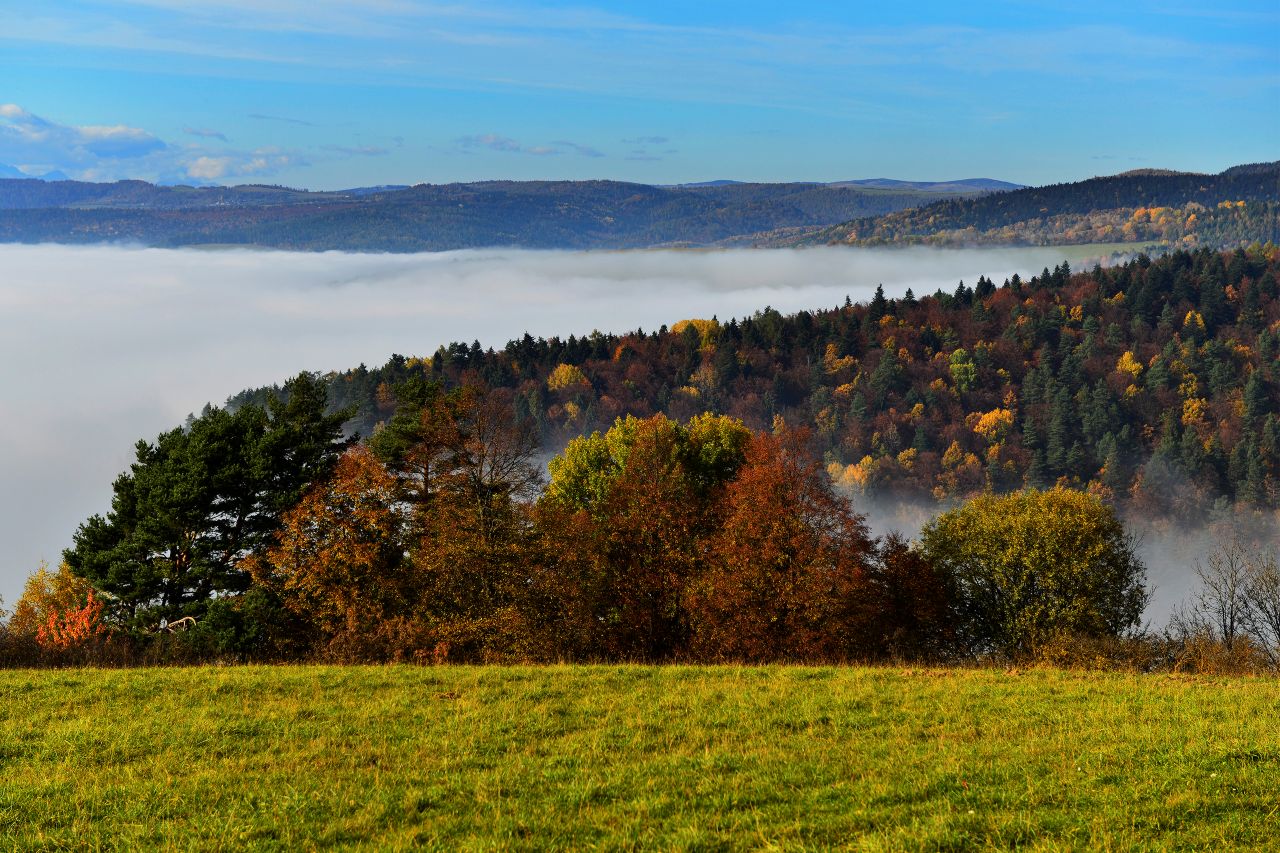 Levočské vrchy