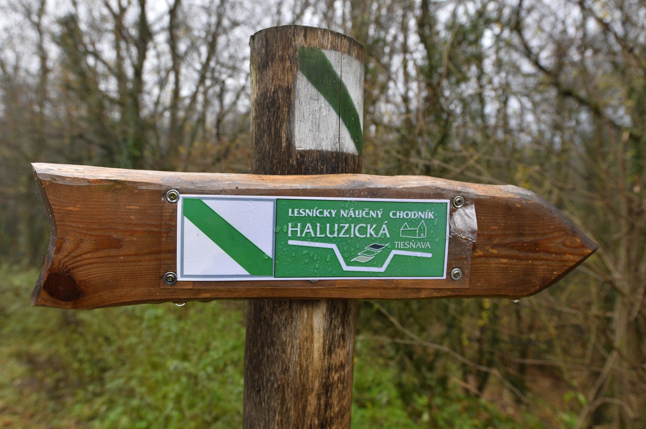 Haluzická tiesňava